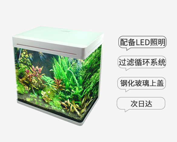 鱼之宝 生态创意小型桌面鱼缸水族箱GT-4白色款 40.6*26.8*43.6cm