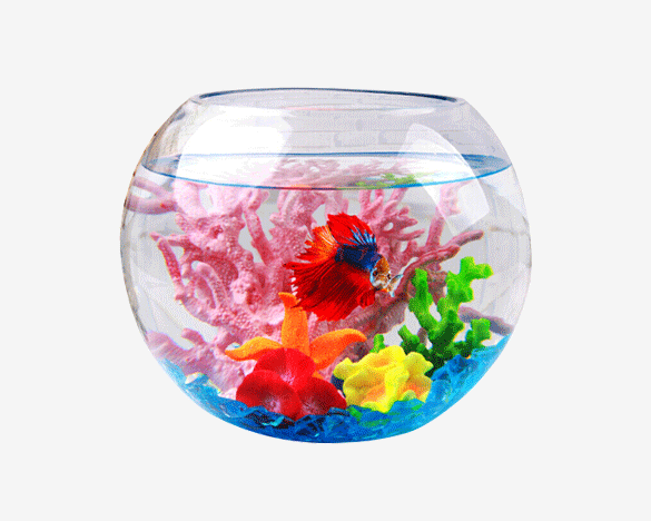 [直接买]鱼麒麟 玻璃小鱼缸 生态创意桌面水族箱家庭观赏金鱼缸30cm