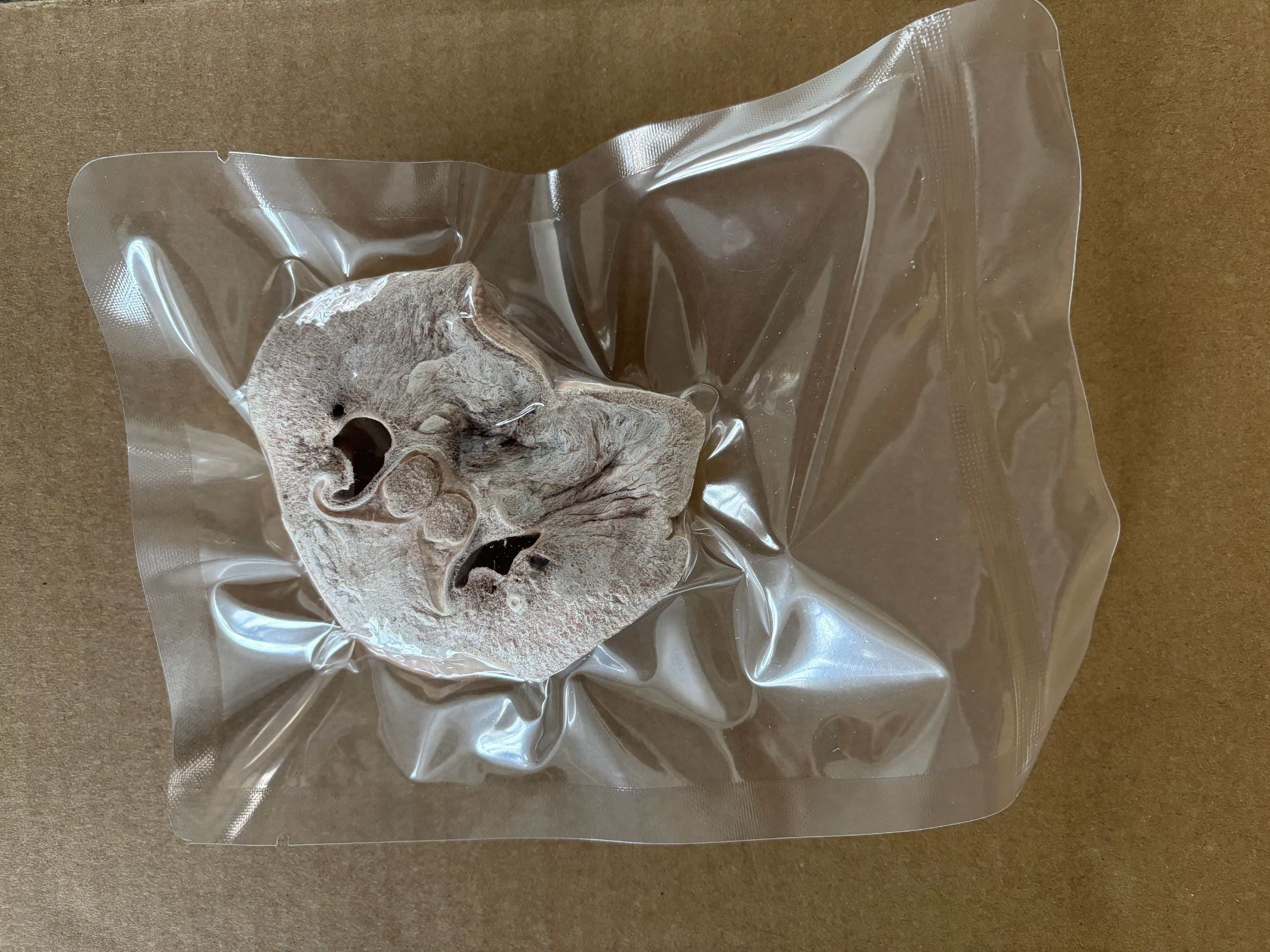  猪鼻子冻干 磨牙冻干（1个/袋）