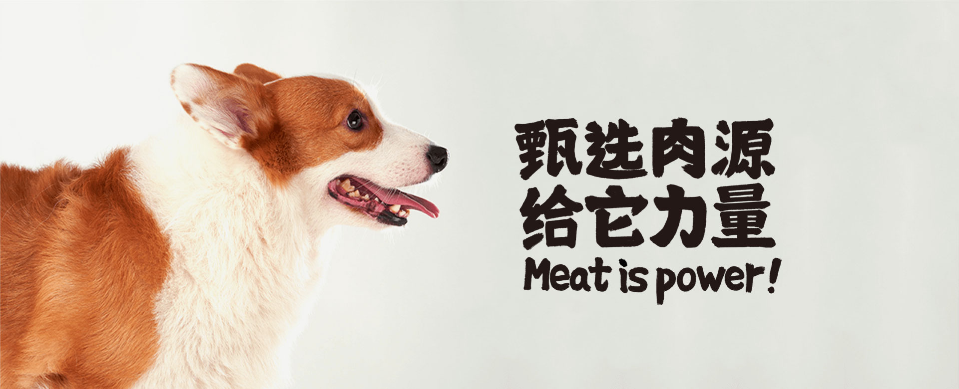 Meat is power! 甄选肉源，给它力量